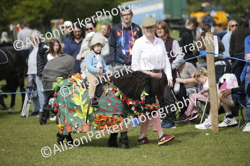 20260426-1287 - Class 6 - Fancy Dress
