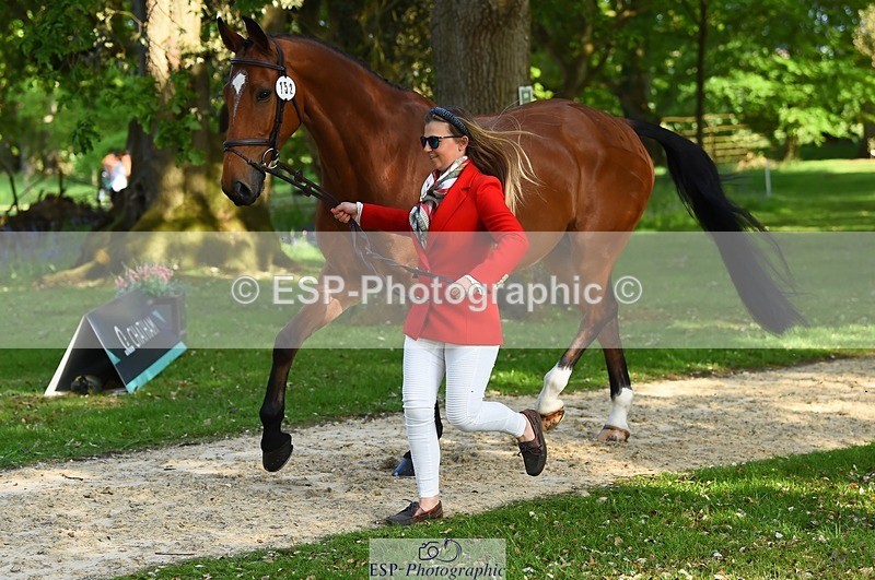 230524-170418-01272 - 152-RENKUM_JITTERBUG-Phoebe_Locke-WEDTrotUp+DR