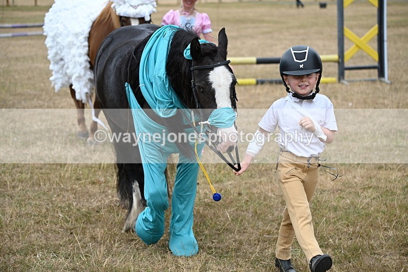 WJ6_8577 - Class 11 Fancy Dress