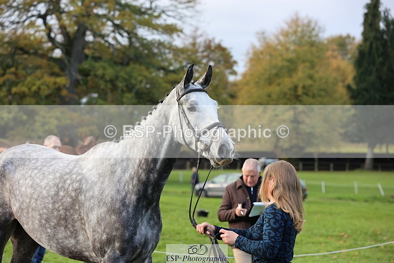 251026A-100025-22659 - D-360-Hannah.Norvill