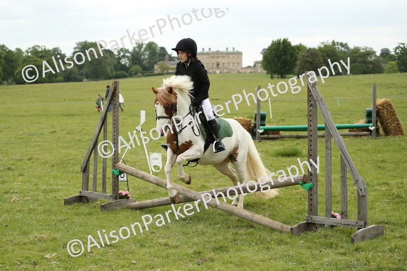 20250517-1176 - Class 21 - Novice Working Hunter