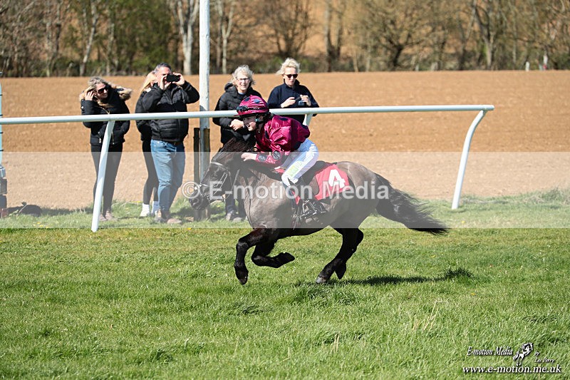 Shet 060426 194 - Shetland Pony Racing Paxford Races Easter Mon 06/04/26
