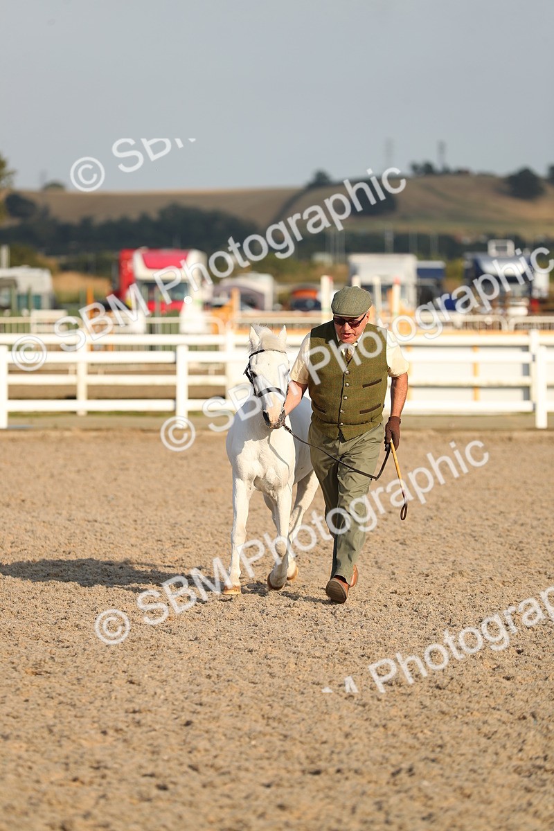 SBM_09022 - Class 29 IH Veteran Pony