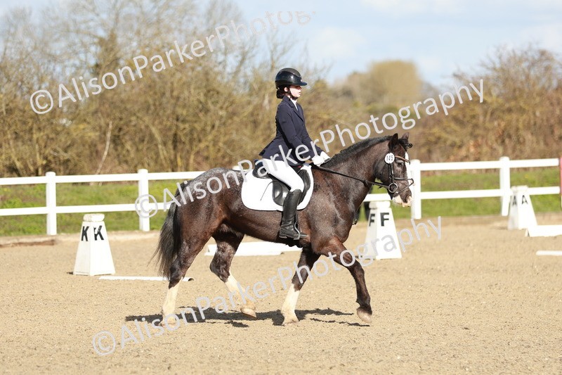 20260314-4541 - DR4 - Prelim 2