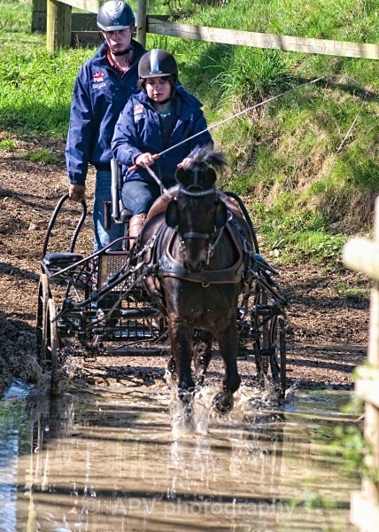_DSC0055 - Ashfields Carriage & Polo Club