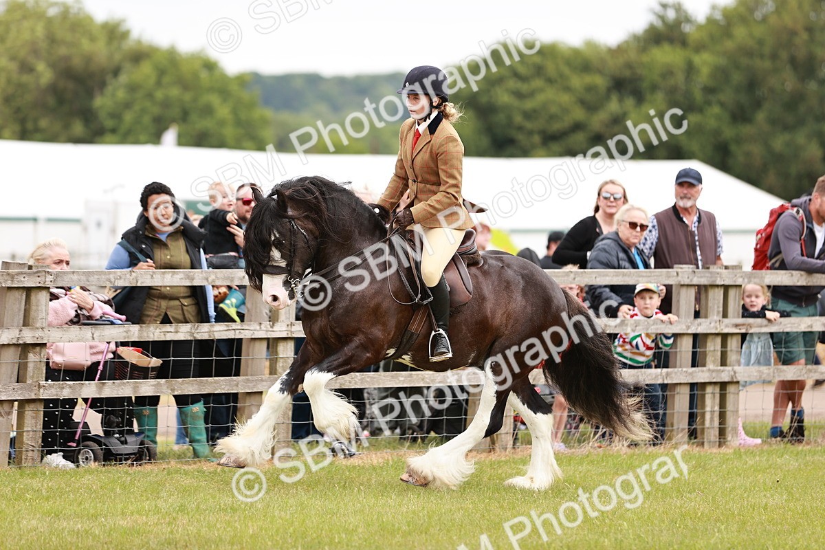 SBM_06161 - Class 39-41 TGCA In Hand and Ridden