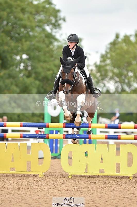 230720A-121204-02482 - Cls 13, 1 Star Bronze 1.10m