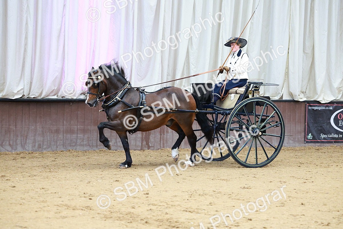 SBM_000179 - Class 3 - Alison Thomas Memorial Lady Whip