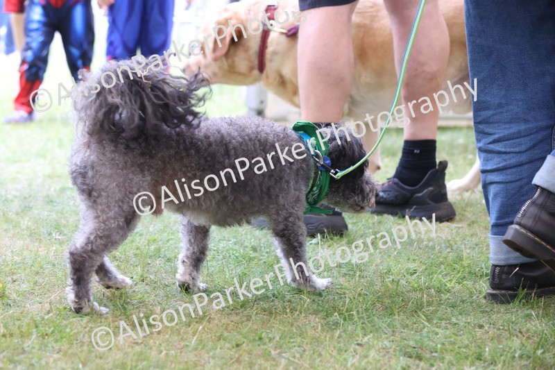 20250607-0183 - Class 3 - Fabulous Fella