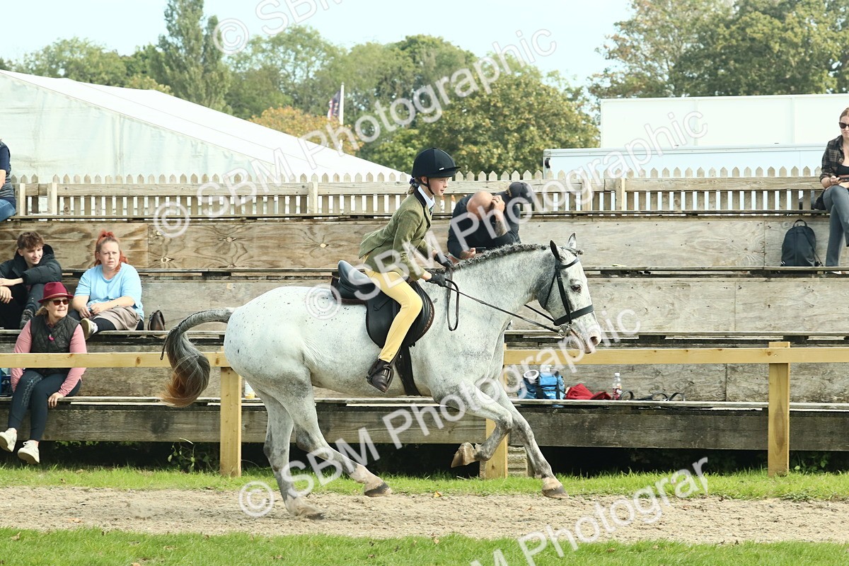 SBM_67560 - S56 - Coloured Pony Ridden