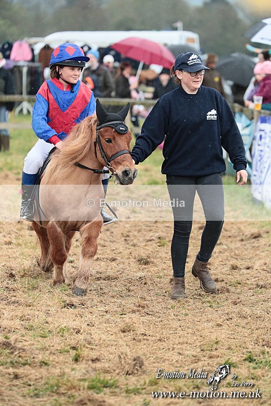 SHETPR 210425 62 - Shetland Ponies Paxford Races 21/04/25