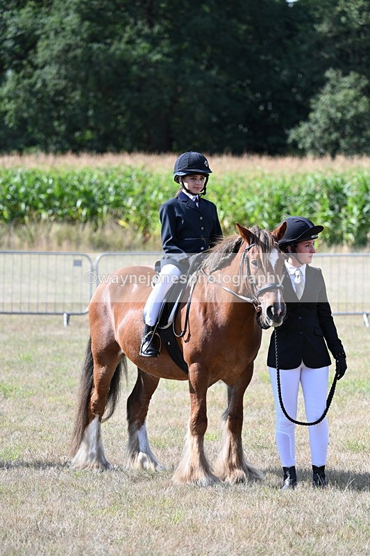 WJ7_2726 - Class 8 Ridden Tack & Turnout