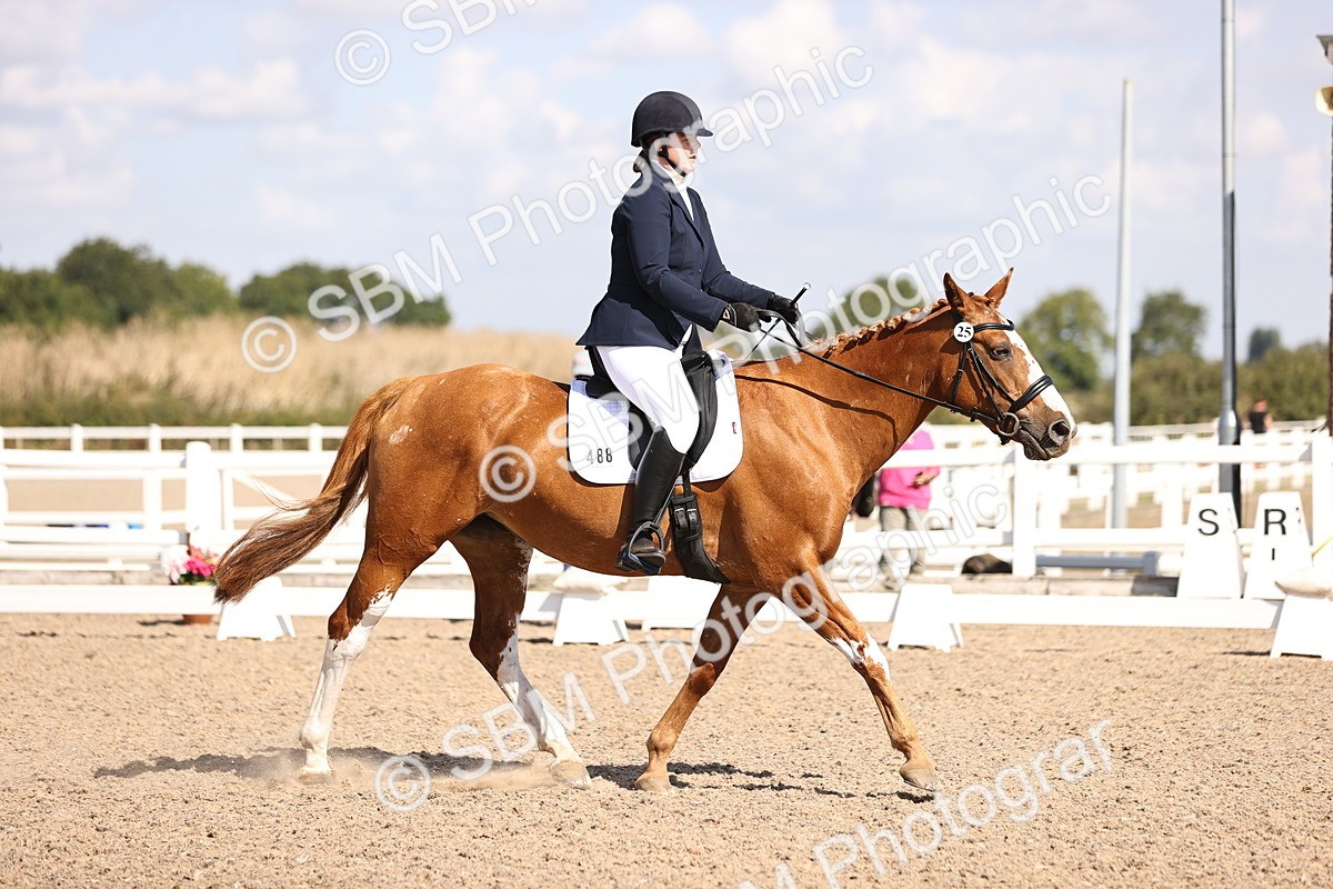 SBM_03541 - CLass 35 Intro 3