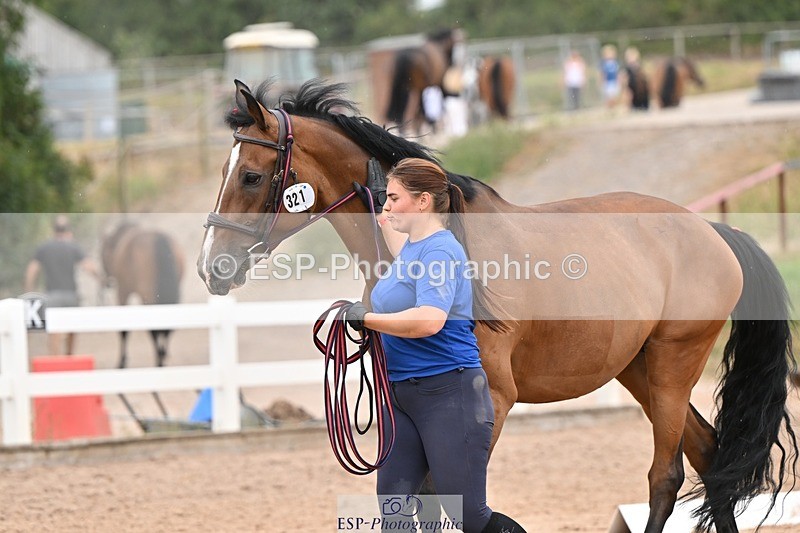 250716-160907-02458 - Trot Up 3.30 to 4.30