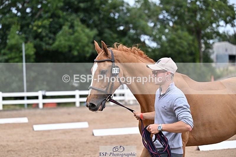 250716-133119-00559 - Trot Up 1.30 to 2.30