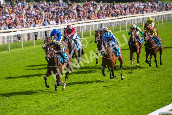 150723-Race 5-Specific Times-0536 - Race 5 4.20pm John Smith's Nursery Handicap