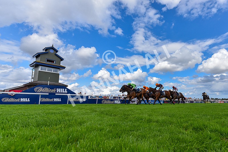 300826-Race 2-Jm Jungle-6562 - Race 2 2.15pm William Hill Beverley Bullet Sprint Stakes