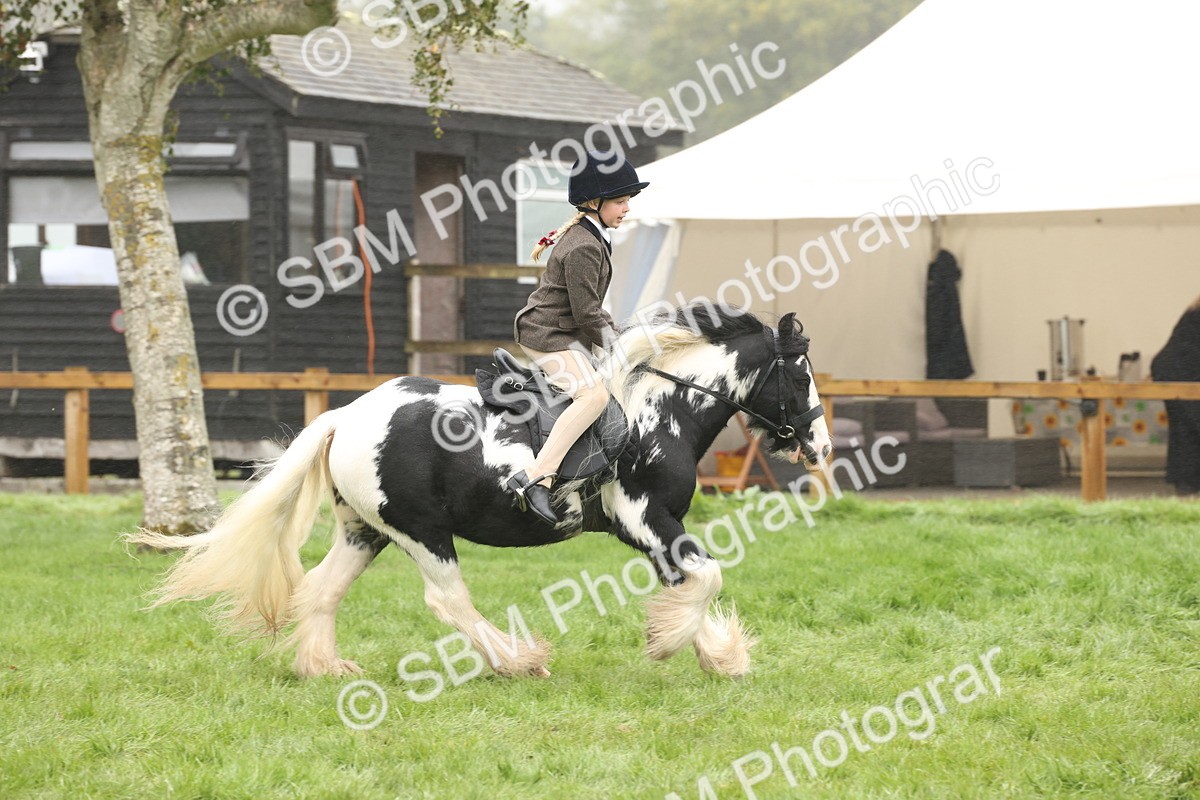 SBM_72828 - S70 - Traditional Cob Ridden