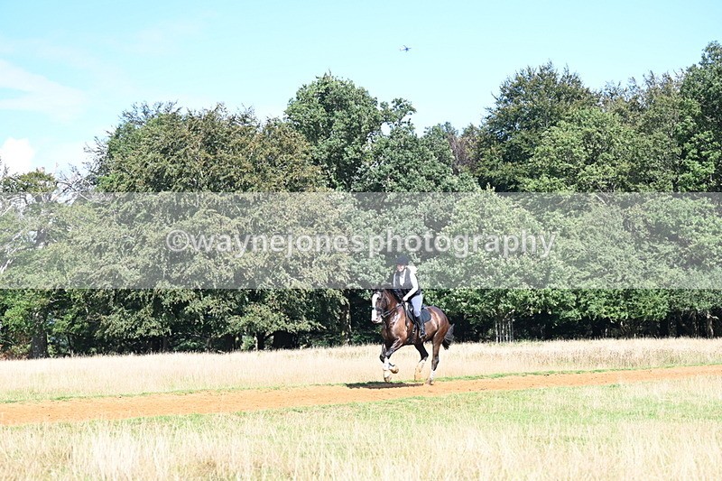 DSC_0160 - Time at Statue 15:58 to 16:05