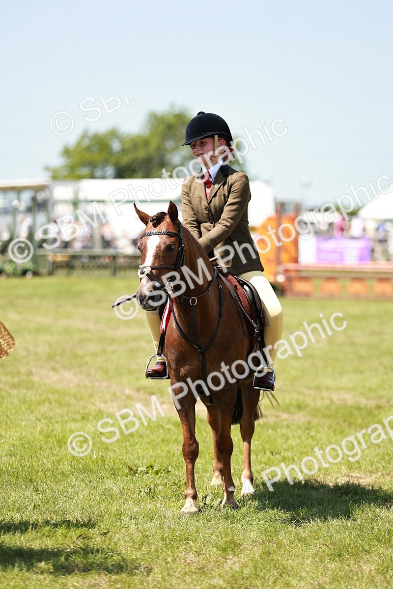 SBM_15739 - Class 108-109 - BSPS LIHS Open Gradle & Nursery Stakes