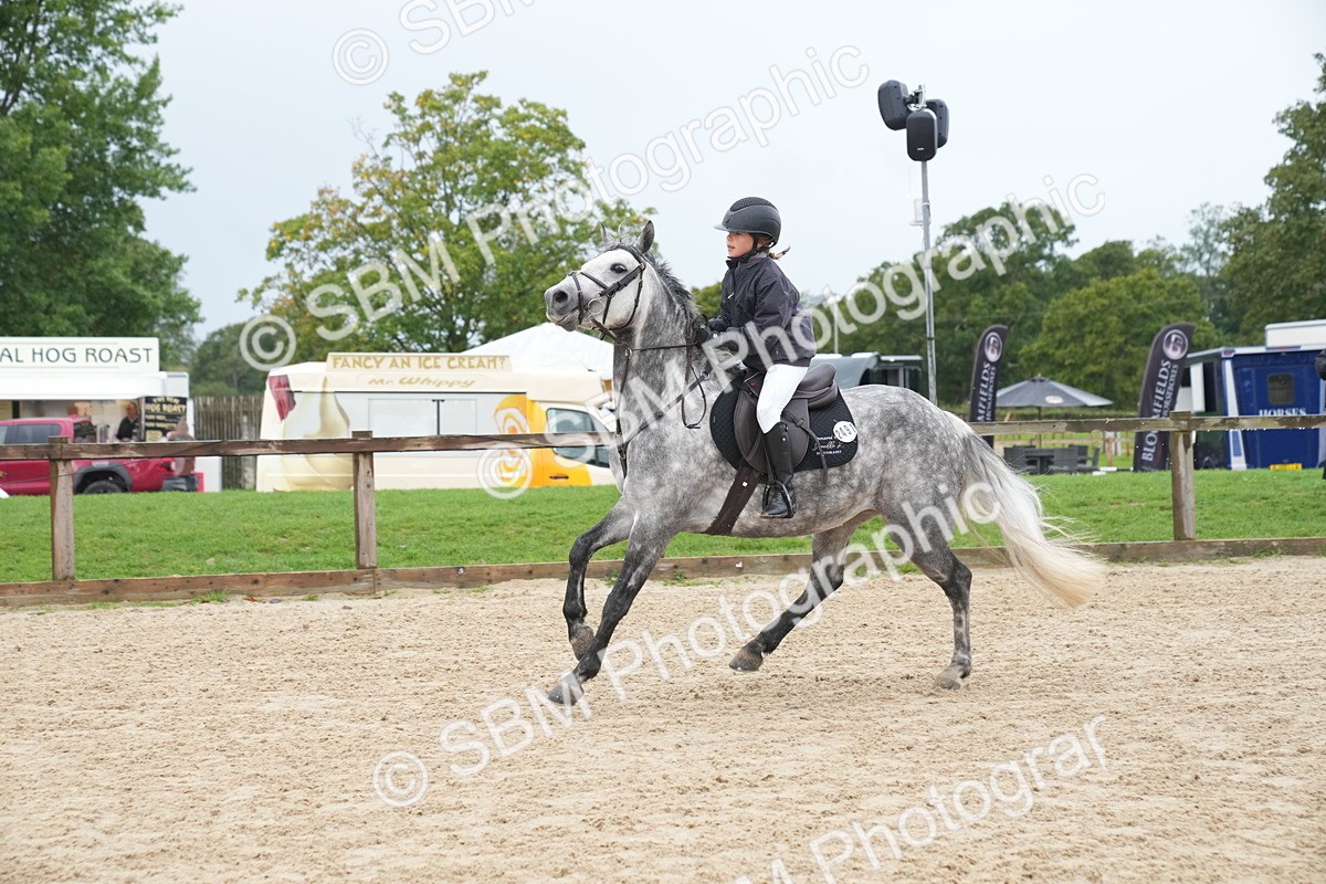 SBM_01452 - J54 - Clear Round 50cm