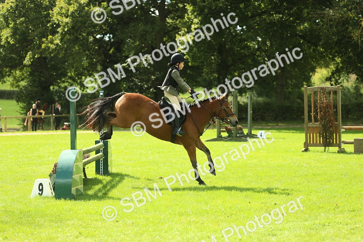 SBM_44623 - S31 - Working Hunter Pony