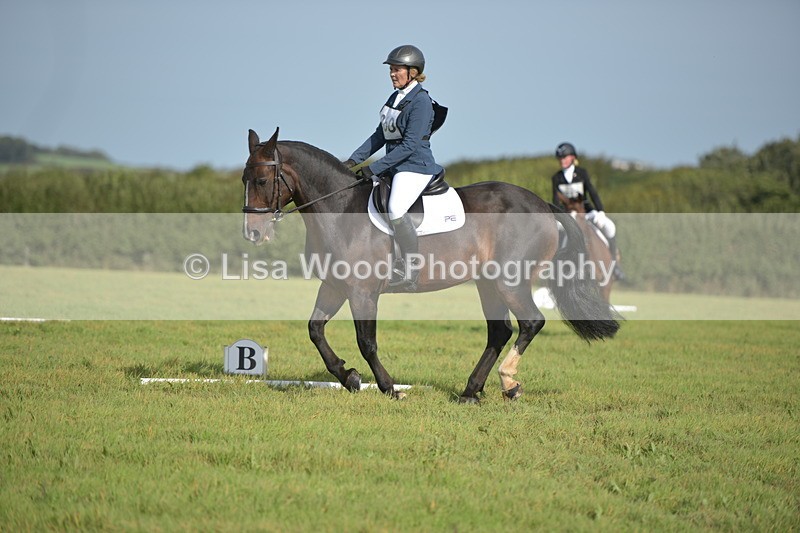 RAY_7808 - Class 2B: Trekenning Open: Dressage