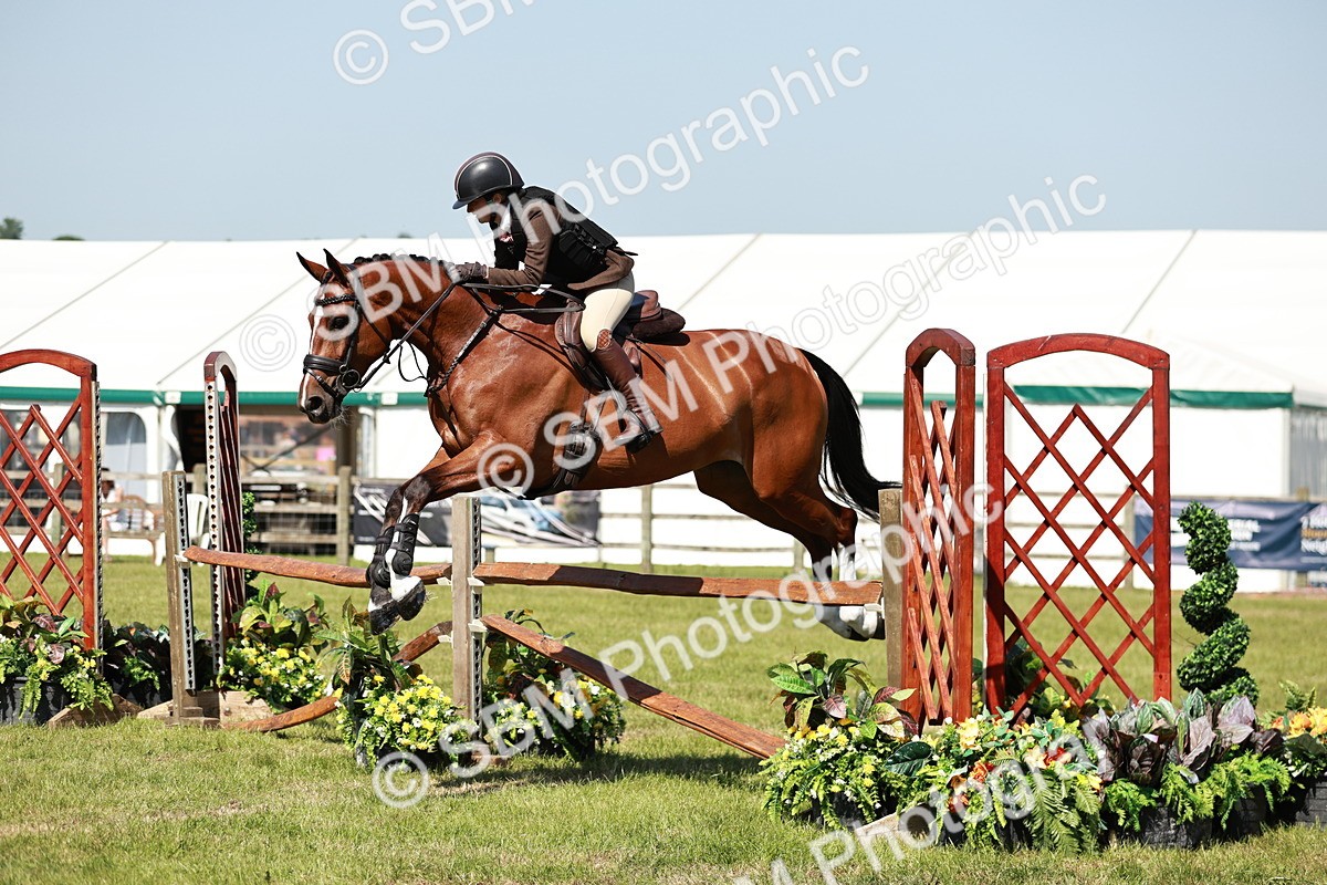 SBM_18330 - Class 112-113 - BSPS LIHS Working Sports Pony