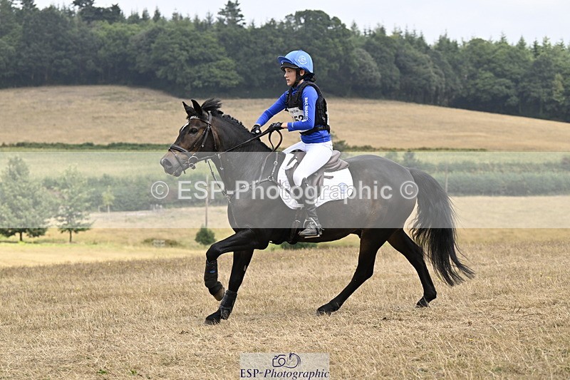 250824A-125823-36582 - 2053-Ava.Sampson-Chameleon