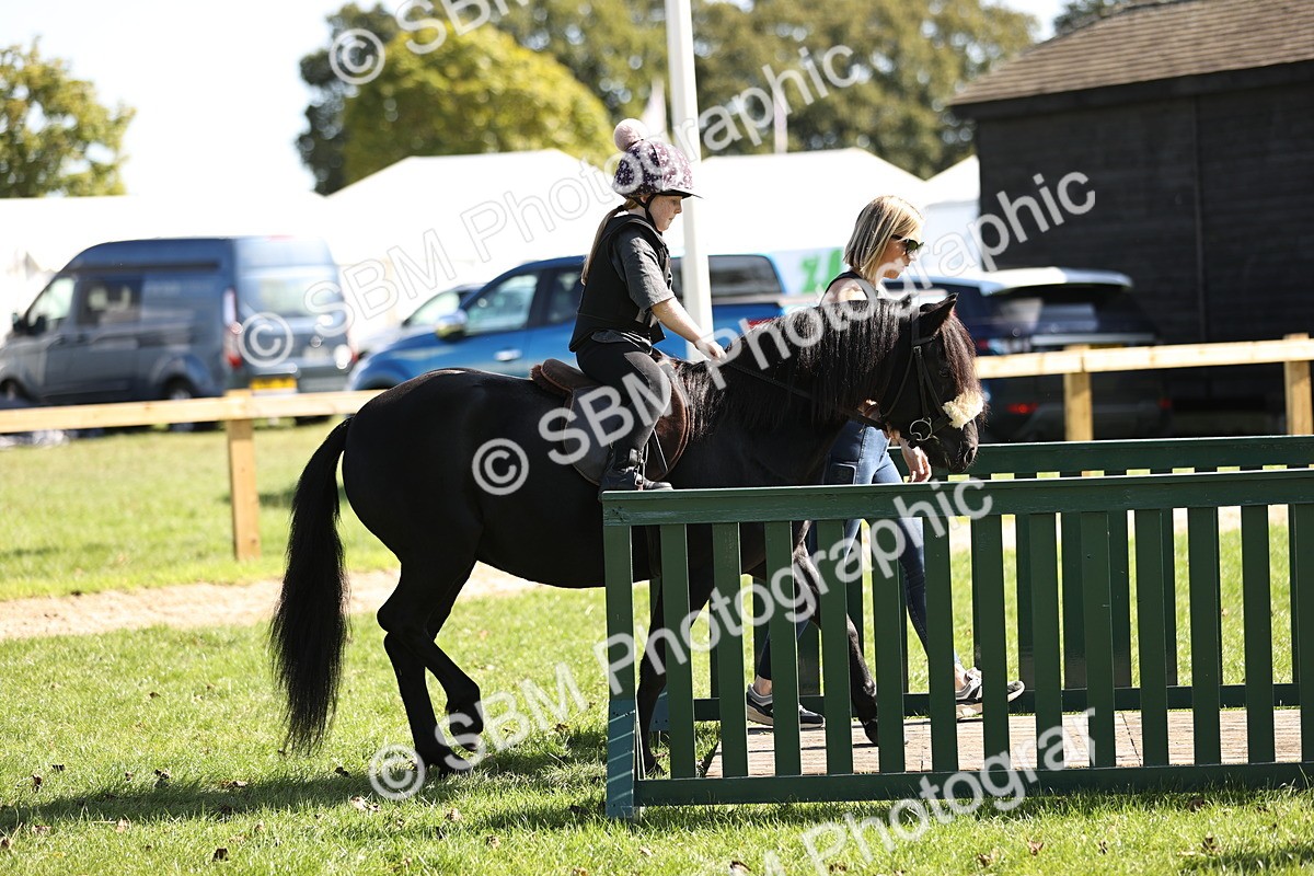 SBM_23039 - S4 - Have a Go at Working Equitation