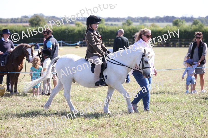 20260906-2261 - Class 16 - Family Pony