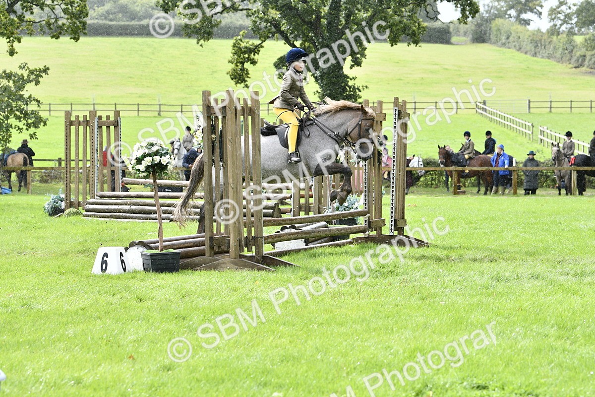 SBM_41407 - S32 - Mountain & Moorland Working Hunter Pony