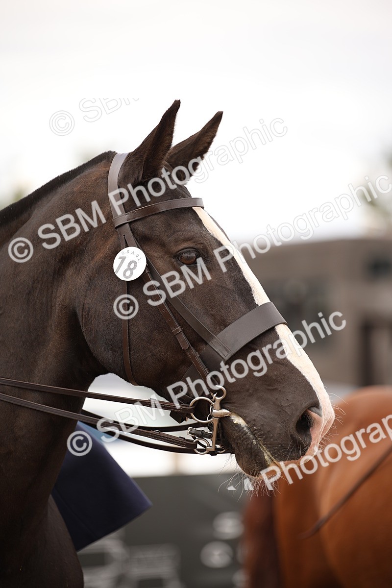 SBM_05398 - Class 22 SSA Equitation