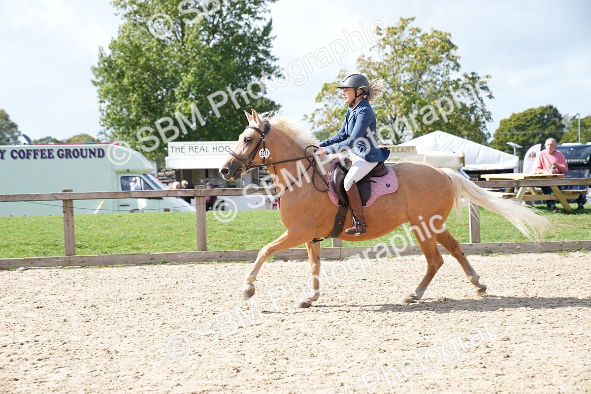 SBM_06058 - J56 - Clear Round 70cm