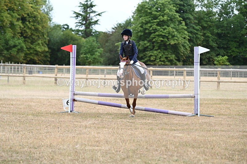 WJ6_0329 - Class 13 Novice Jumping 60cm