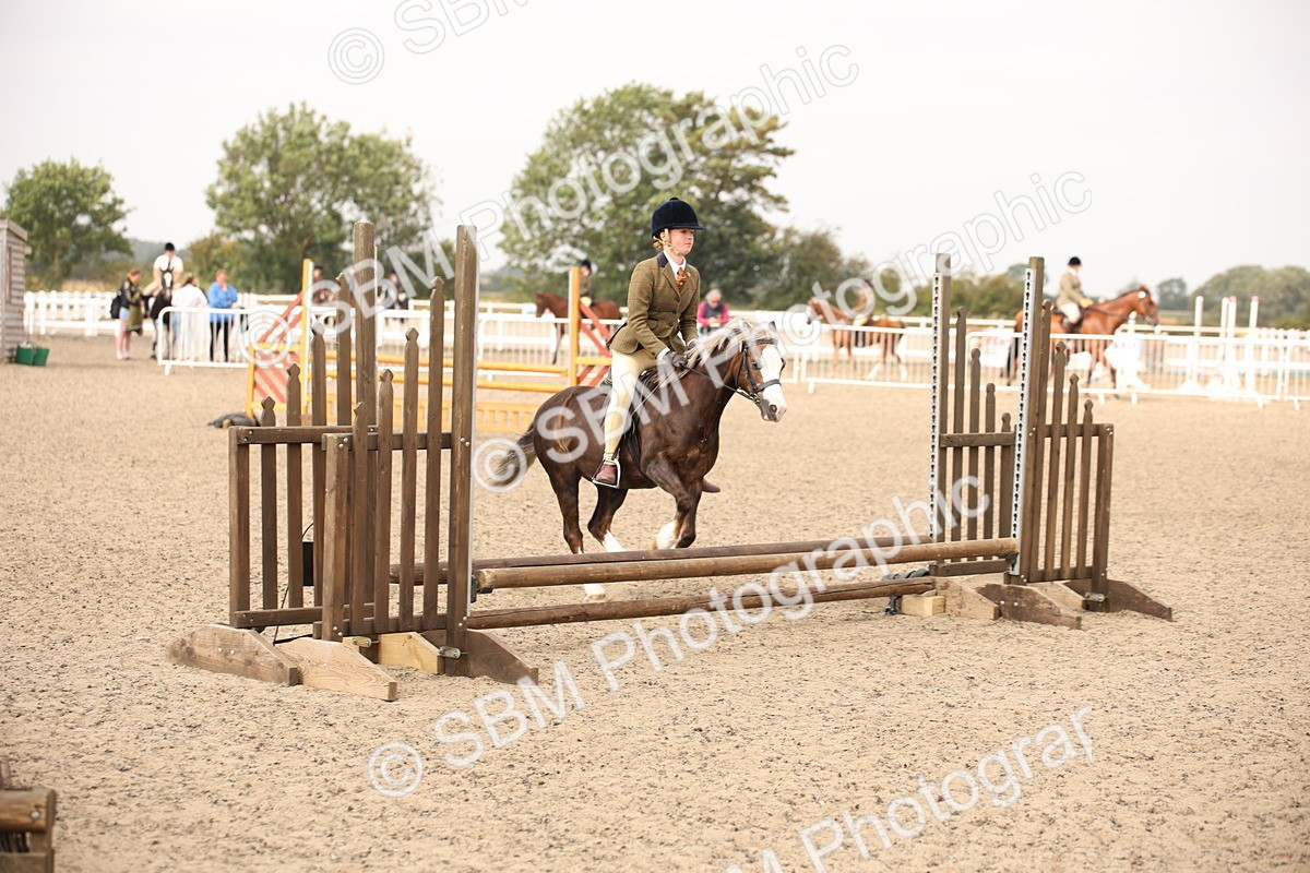 SBM_12578 - Class 405b - M&M Working Veteran 50cm 20+