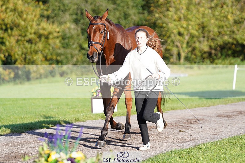 241026-101514-11717 - 011-Carla.Williamson-GOLDMAN