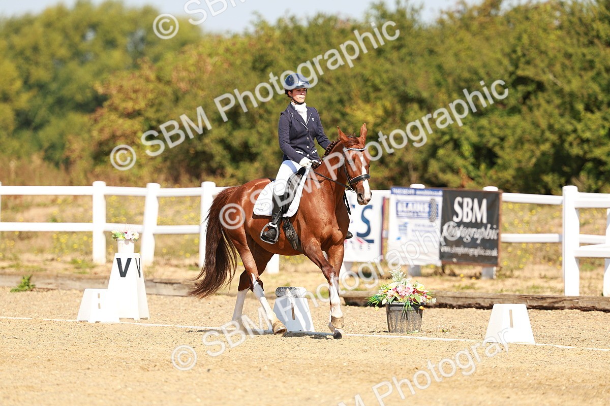 SBM_017619 - Class 9 - N5 Bronze 10.33.11.36