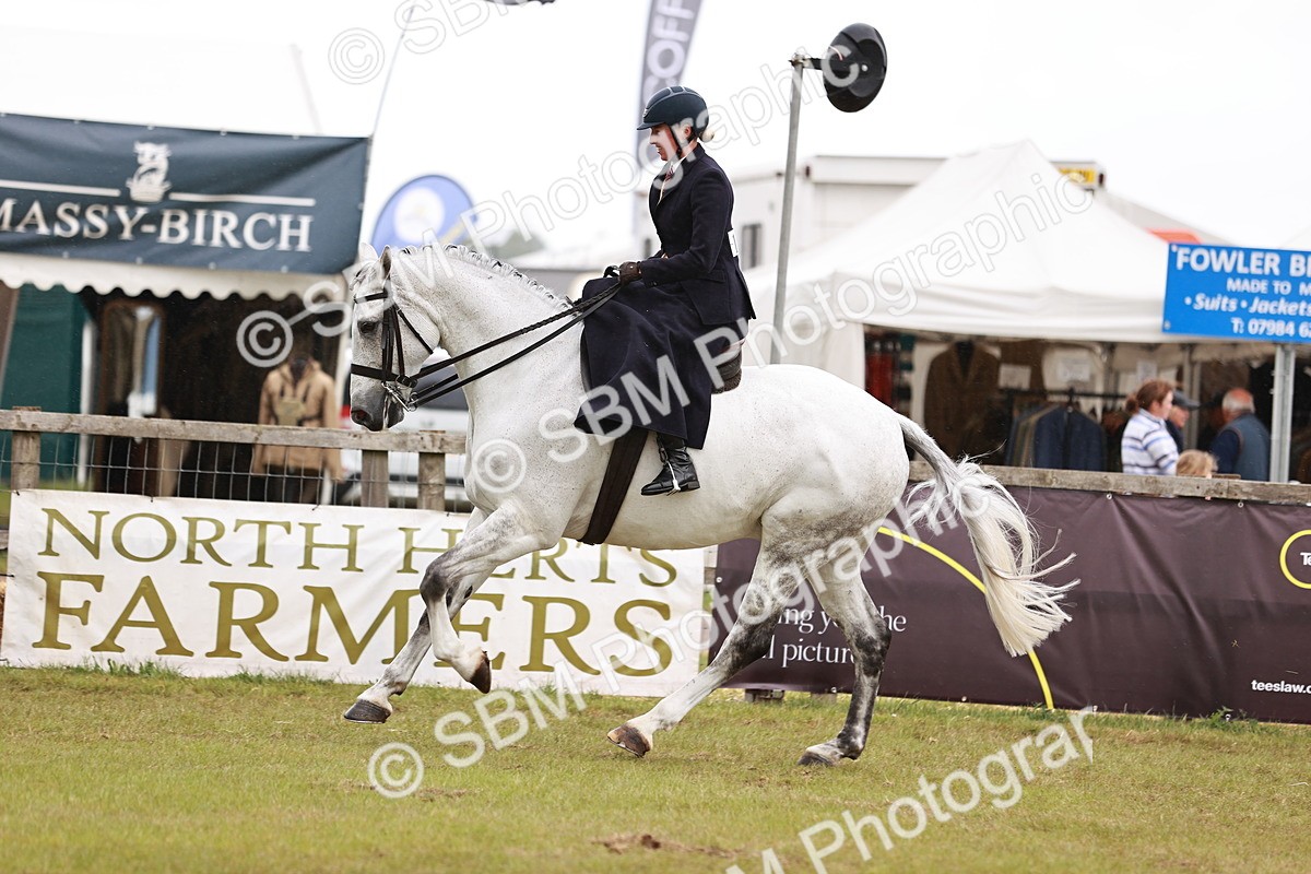 SBM_10990 - Class 81-84 - RIHS Ridden hunters Inc Ladies Hunter