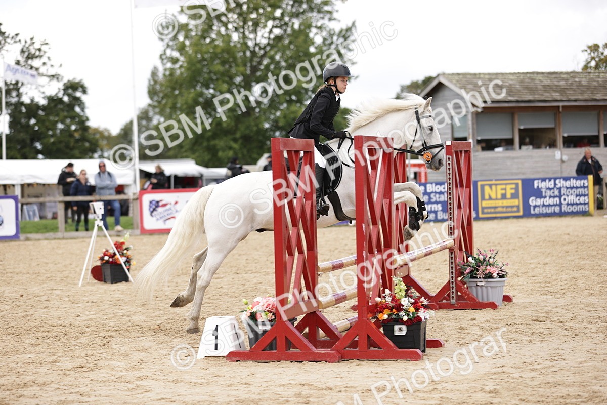 SBM_22346 - J59 - Clear Round 75cm