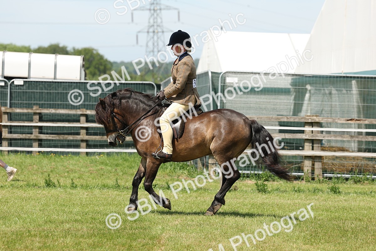 SBM_06844 - Class 26-30 - Mountain and Moorland Ridden