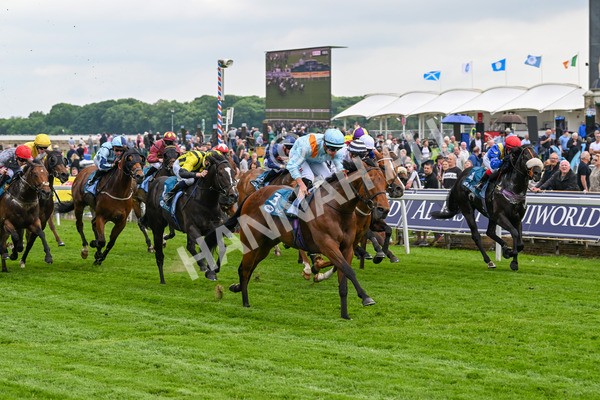 160524-Race 1-Clarendon House-5195 - Race 1 2.15pm Lindum York Handicap
