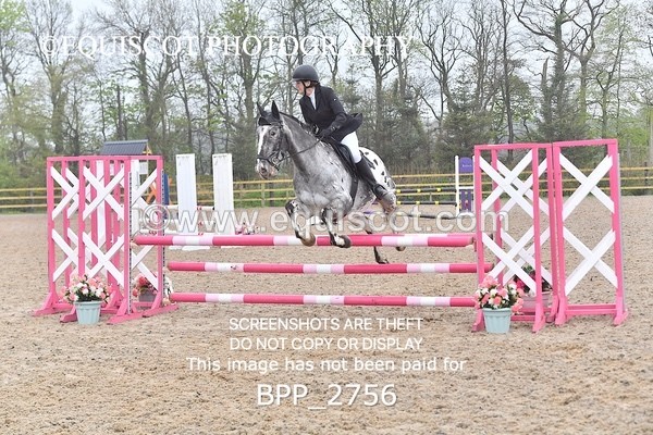 BPP_2756 - CLASS 4 Senior British Novice/ 90cm Open