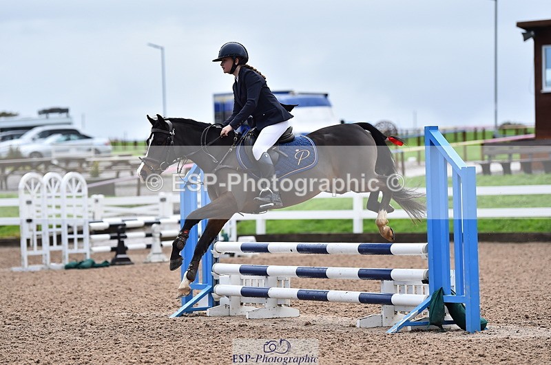 231029A-103352-02327 - 70cm Pony Intro