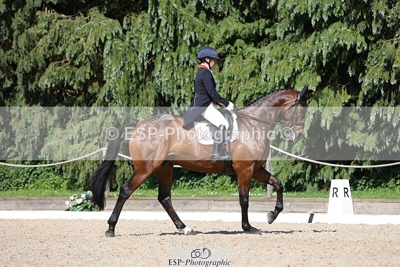 230526-160714-07759 - 168-PARKFIELD_ARTIE_BLOU-Laura_Collett-WEDTrotUp+DR