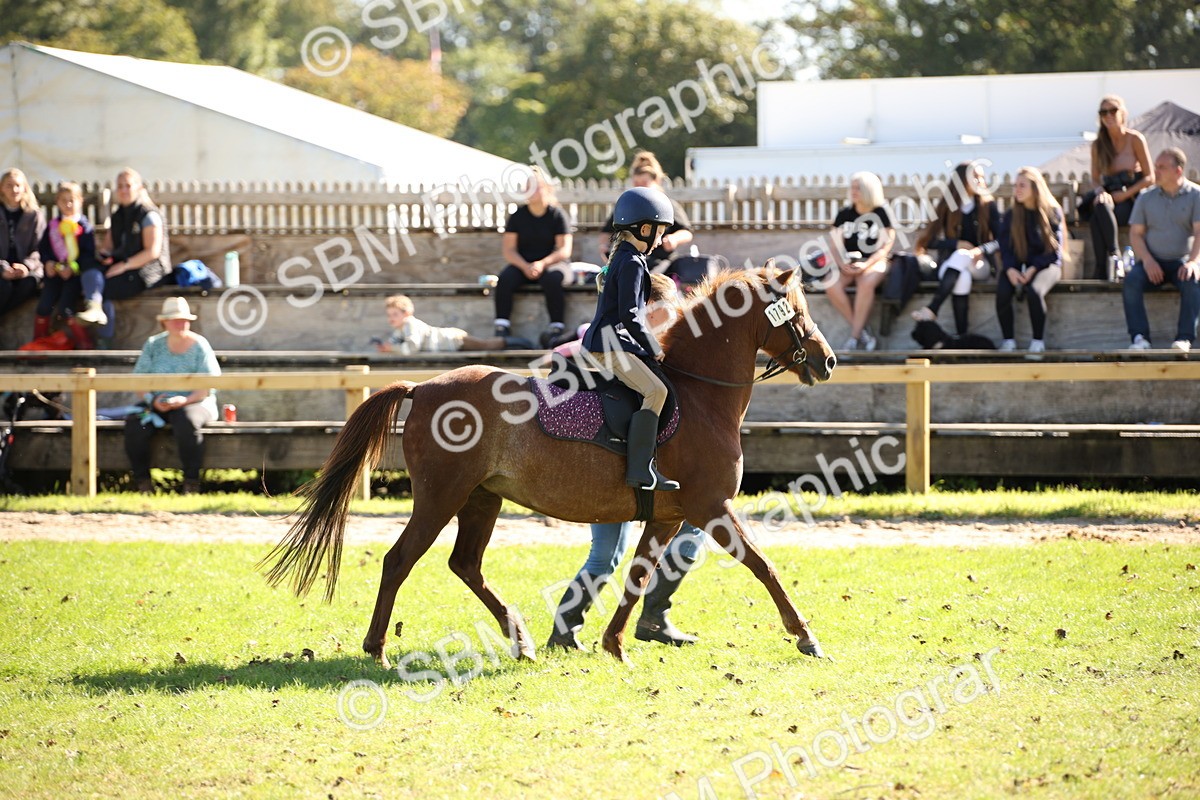 SBM_38979 - S11 - Best Ridden Horse & Pony