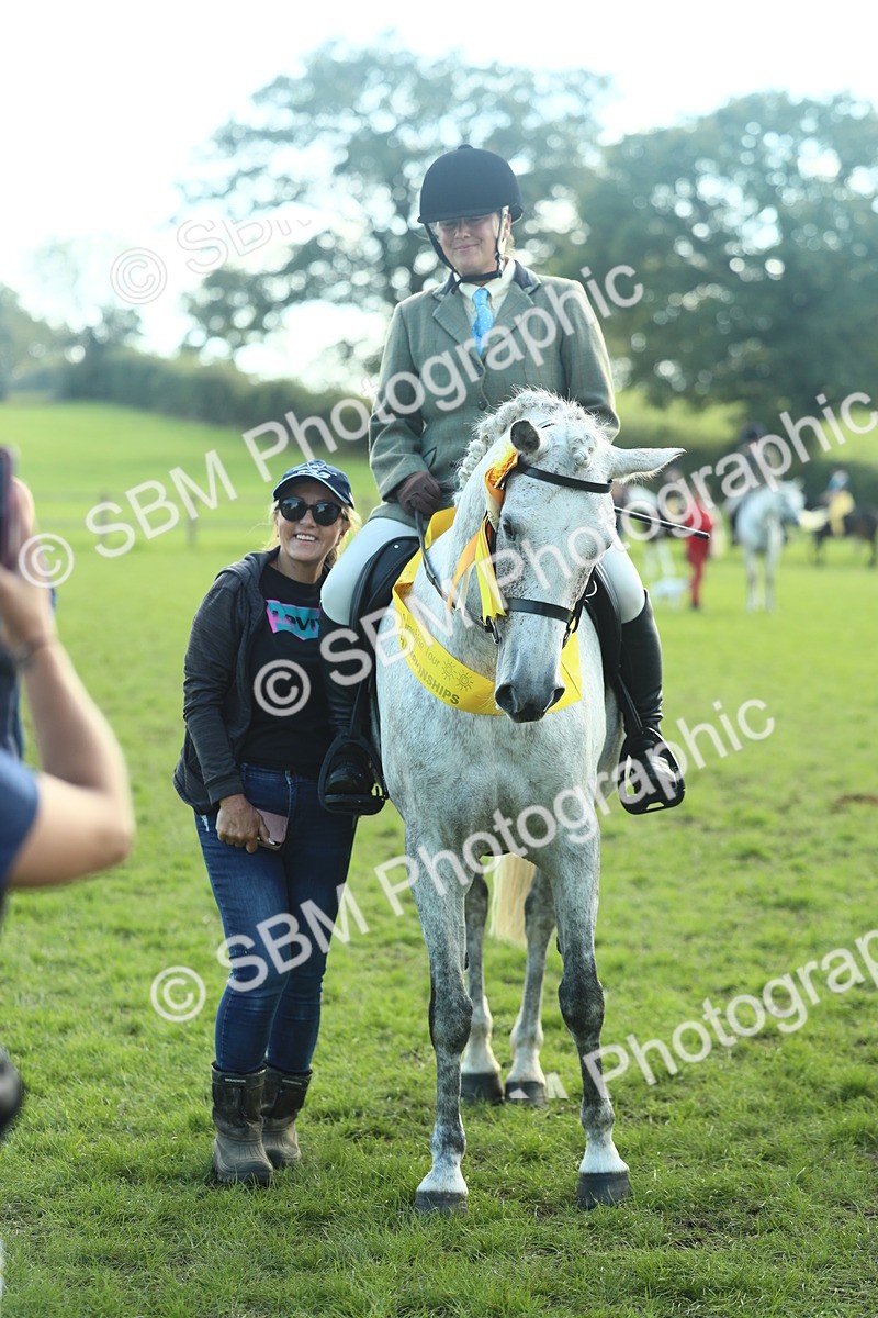 SBM_49962 - S32 - Novice & Newcomers Working Hunter