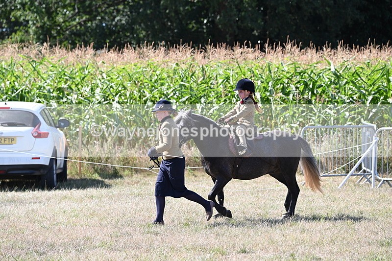 WJ6_7970 - Class 36 Lead Rein