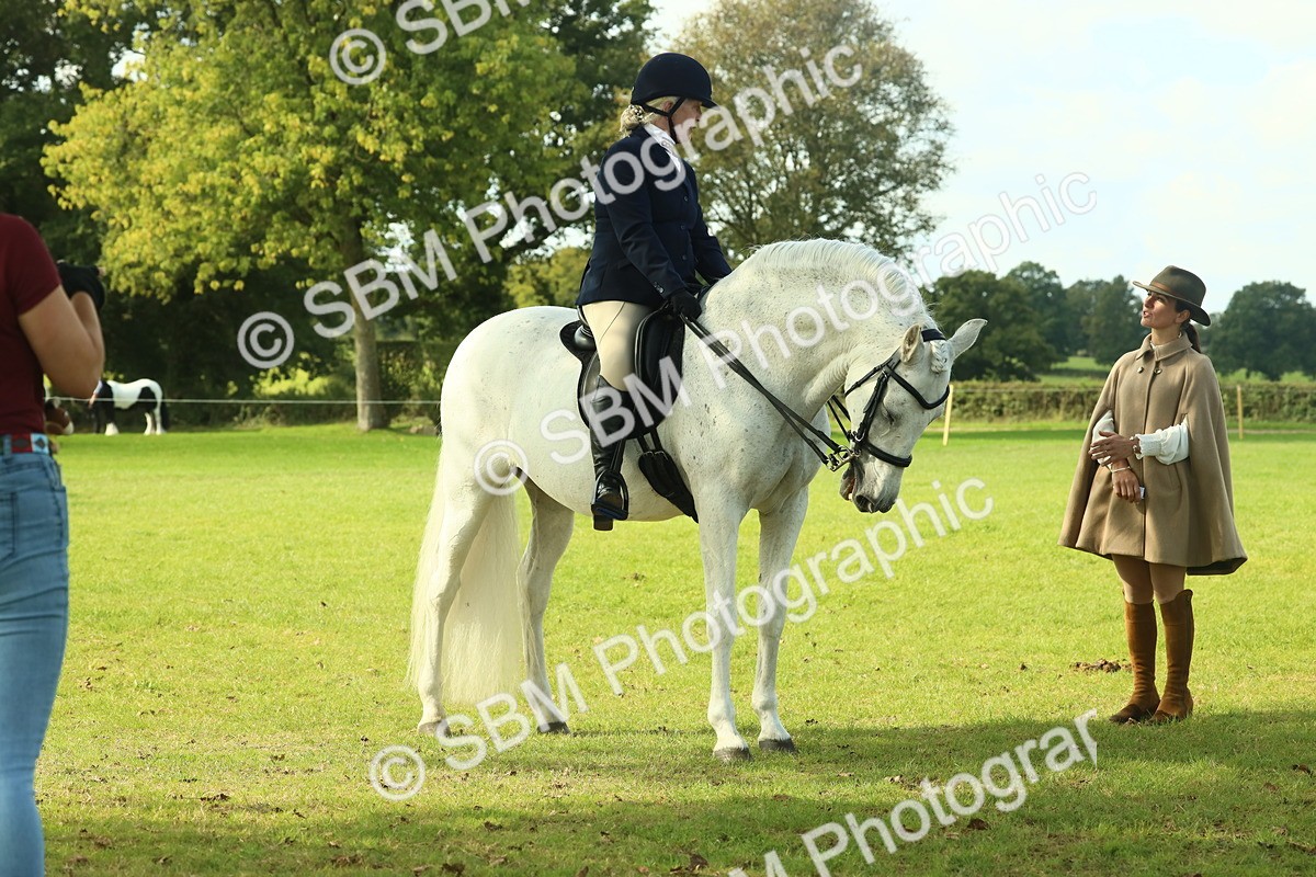 SBM_62436 - S62 - Foreign Breeds Ridden