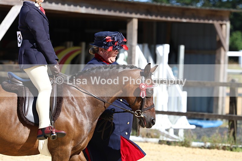 3E7A8055 - Class 15: Lead Rein